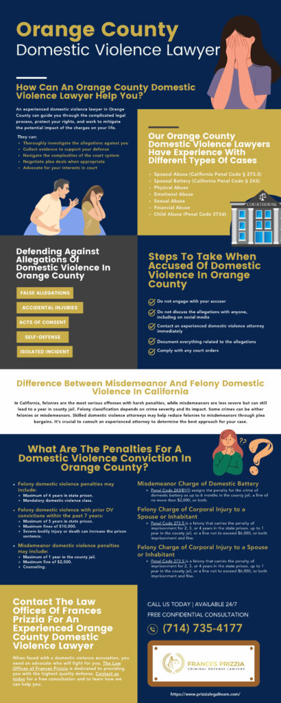 Frances Prizzia Domestic Violence Infographic